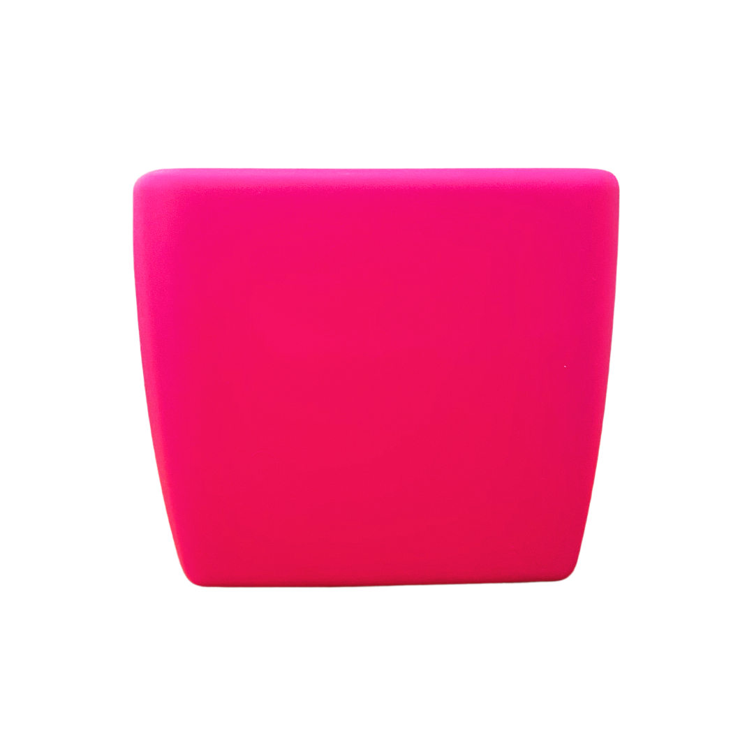 Pink Original Trainer's Pouch [AUNZ]