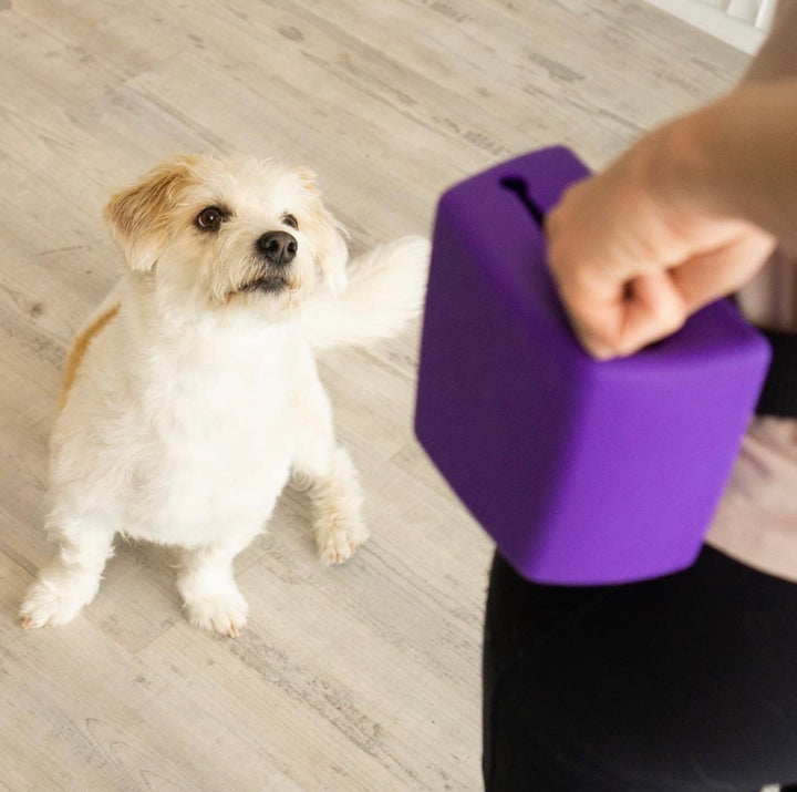 PRE ORDER Purple Original Trainer's Pouch