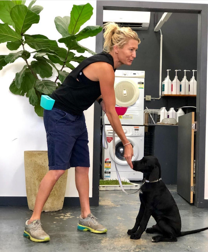Trainer wearing an Aqua Pocket pouch with a puppy