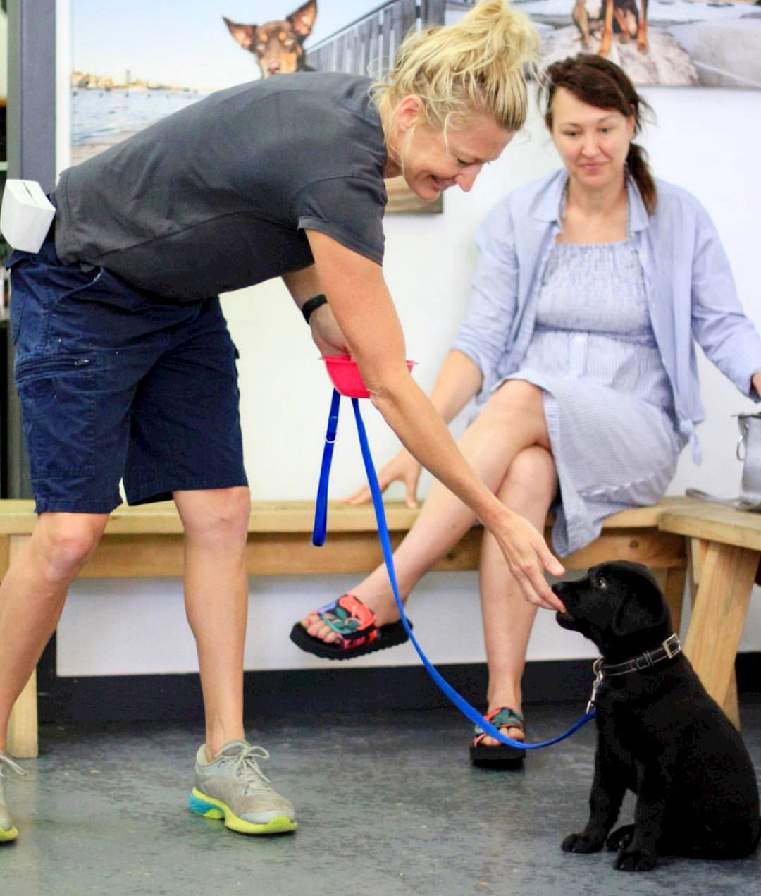 Trainer wearing a Marble Pocket pouch with a puppy
