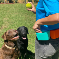 Thumbnail for Pocket Trainers Pouch - The Trainer's Pouch